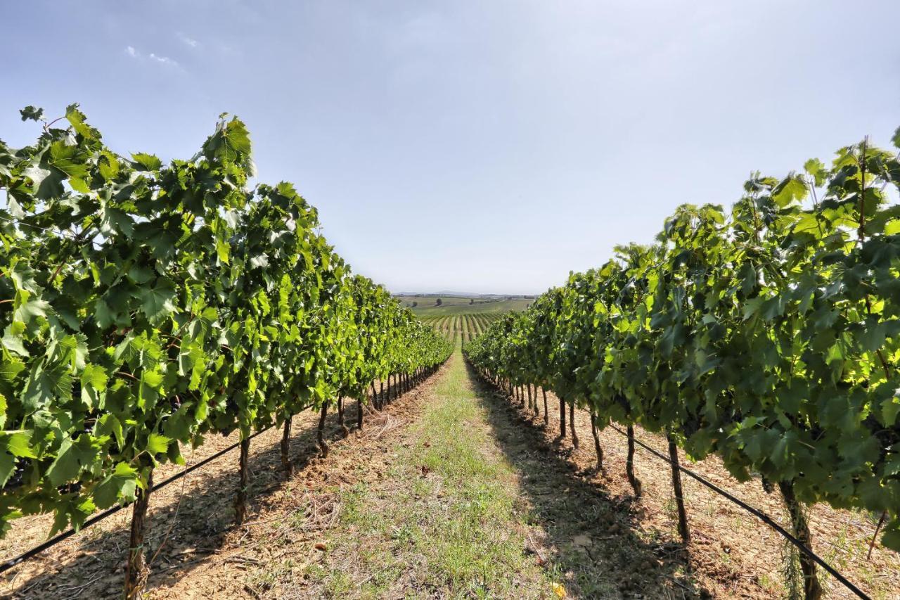 Valiano Agriturismo Terra Rossa מראה חיצוני תמונה